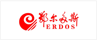 erdos group  logo
